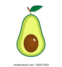 Vector isolated avocado on white background