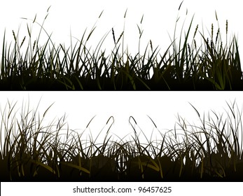 Vector of isolated  background of realistic meadow grass in shadow style.