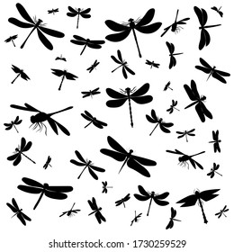 vector, isolated, background silhouette dragonfly, insect on a white background