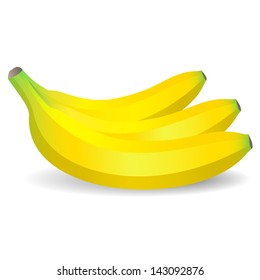 Vector isolated  bananas on white background
