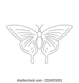 Vector aislado hermosa línea de contorno negro y blanco incoloro ornamentación simétrica mariposa dibujo fácil
