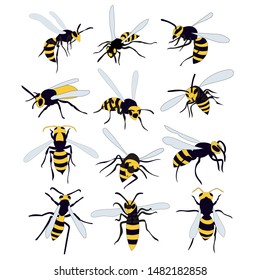 vector, isolated, bees, wasp, set