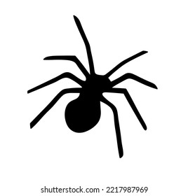 Vector isolated big large spider  colorless black and white outline silhouette shadow shape 