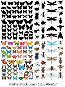 vector isolated, big set of insects and butterflies