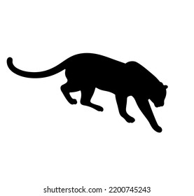 Vector aislado gran gato salvaje que baja en forma de sombra de contorno negro incolora