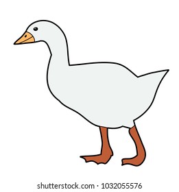 vector, isolated bird duck, goose on white background