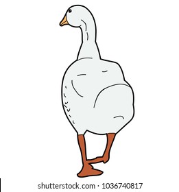 vector, isolated, bird goose, duck