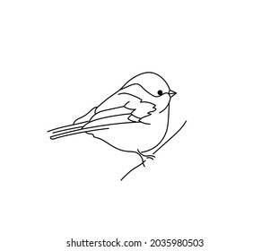 Vector Isolated Bird On A Branch Contour Black Line Drawing. Black And White Colorless Small Bird Sparrow, Bullfinch, Titmouse Hand Drawn Graphic Tattoo, Poster Element, Pattern