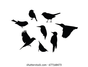 Vector isolated bird silhouettes. For black wall stickers.