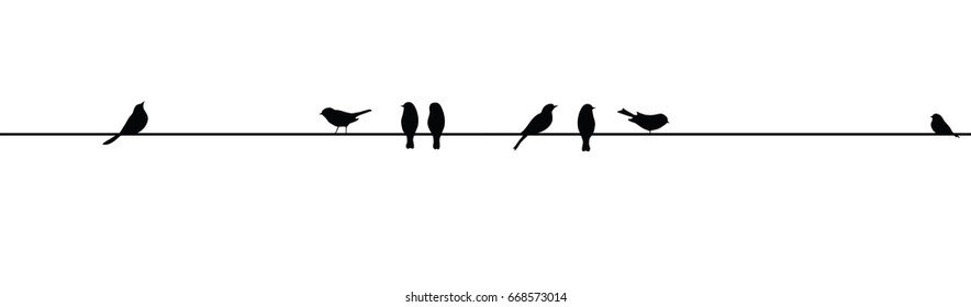 Vector isolated birds on line black silhouette