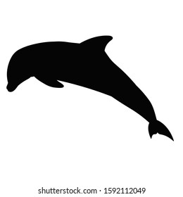 Vector Isolated Black Silhouette Dolphin Swimming Stock Vector (Royalty ...