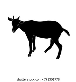 vector, isolated black silhouette goat with horns