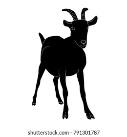 vector, isolated black silhouette goat with horns standing