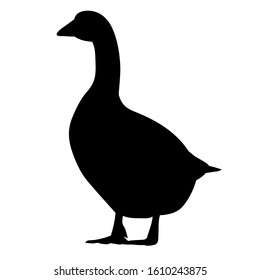 vector, isolated, black silhouette of a goose, duck