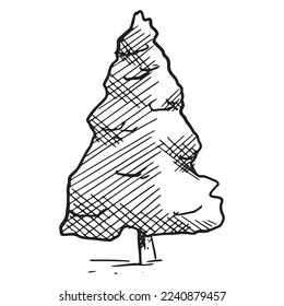 Vector isolated black and white sketch of spruce tree.