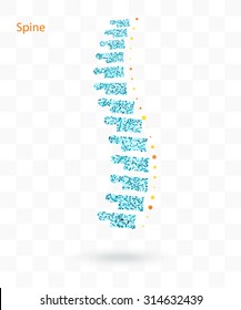 vector. Isolated blue backbone of small round balls