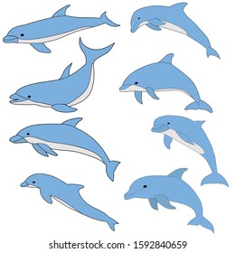 vector, isolated, blue dolphin swims set