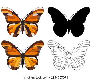 vector, isolated, book coloring, butterfly