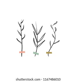 Vector isolated branches illustration