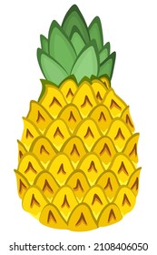 Vector isolated bright illustration of pineapple. Tropical plant.
