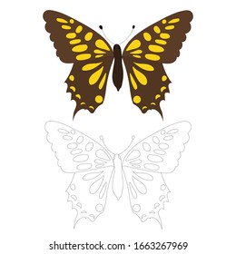 vector, isolated, butterfly, coloring book