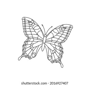 Vector isolated butterfly contour line drawing. Colorless black line butterfly coloring page.