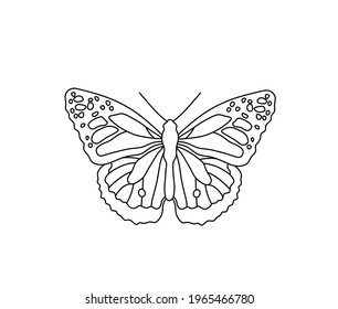 Vector isolated butterfly line drawing. Colorless contour black line butterfly graphic sketch icon logotype