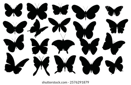 Vector isolated butterfly silhouettes set collection