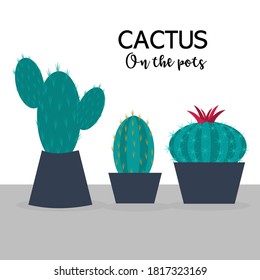 Vector isolated cactus s set. Cute green cactus in flower pots