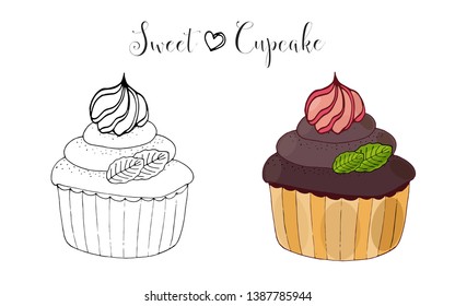 Vector isolated cake or cupcake, dessert with berry. Sweet dessert coloring book. Vector isolated dessert.