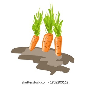 Vector isolated carrot in the ground. Growing vegetables. Illustration on a country theme.