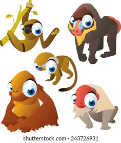 vector isolated cartoon cute animals set: monkeys: saimiri, baboon, orangutan, sloth, macaque