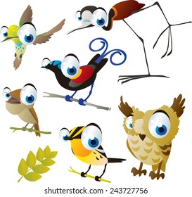 vector isolated cartoon cute animals set: birds: jacana, hummingbird, bird of paradise, owl, nightingale, warbler