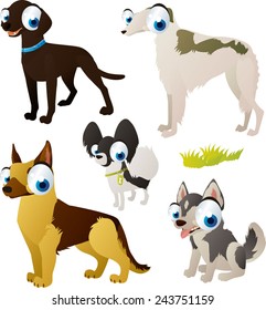 vector isolated cartoon cute animals set: dog breeds: shepherd, borzoi, spitz, labrador, husky