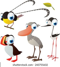 vector isolated cartoon cute animals set: birds: bird of paradise, spoonbill, puffin, stilt