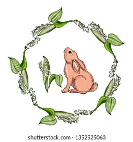 Vector isolated cartoon hare