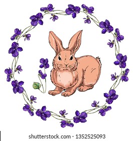 Vector isolated cartoon hare