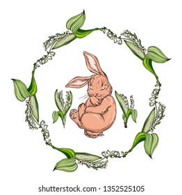 Vector isolated cartoon hare