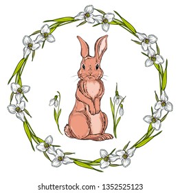 Vector isolated cartoon hare
