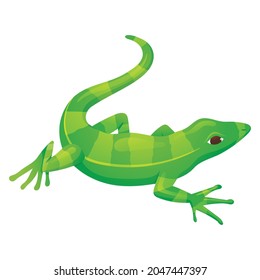 Vector isolated cartoon illustration of green striped lizard reptile.