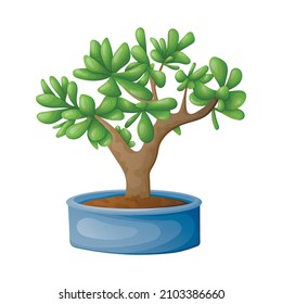 Vector isolated cartoon illustration of home potted succulent jade bonsai plant.