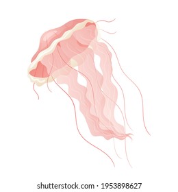 Vector isolated cartoon illustration on white background. Realistic pink jellyfish. Design element for decoration on the theme of marine life.