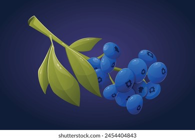 Vector isolated cartoon Twig with blue blueberries and leaves.