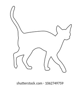 Continuous Line Drawing Set Cat Minimalist Stock Vector (Royalty Free ...