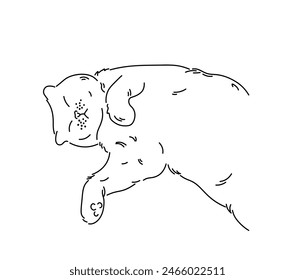Vector isolated cat lying on back in a funny pose colorless black and white contour line easy drawing
