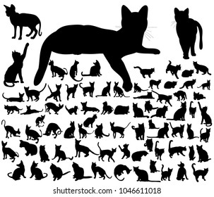 vector, isolated cat, pet, silhouette set