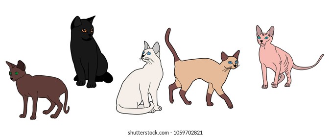 vector, isolated cat, set