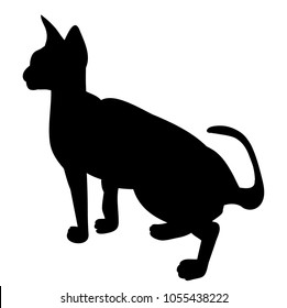 vector isolated cat silhouette icon
