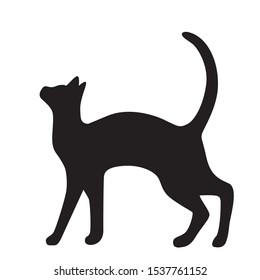 Vector isolated cat silhouette, logo, print, decorative sticker