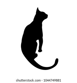 vector, isolated cat silhouette on white background